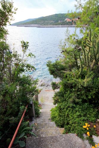 a path next to a body of water at Apartment Zavalatica 189b in Zavalatica