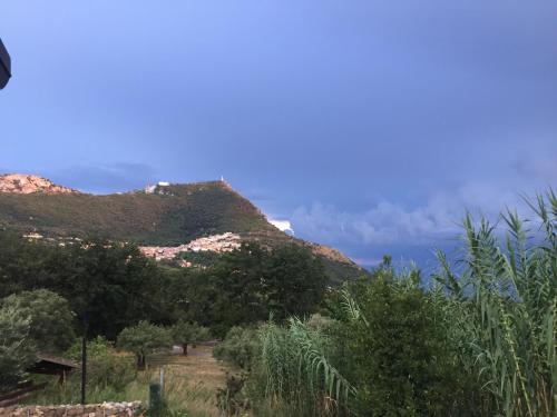 Gallery image of Affittacamere L’ Agrumeto in Maratea
