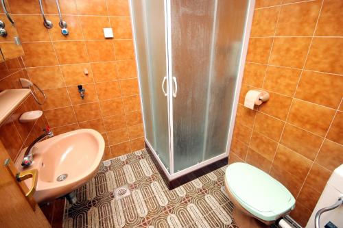 a bathroom with a shower and a toilet and a sink at Apartment Prizba 176a in Prizba