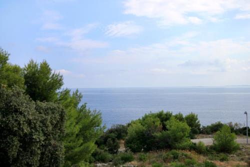 a view of the ocean from a hill with trees at Apartments by the sea Zavalatica, Korcula - 247 in Zavalatica