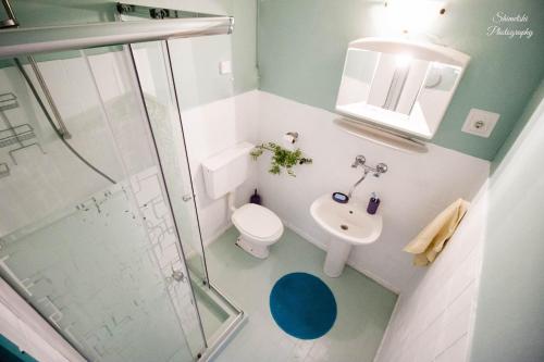 ein Bad mit einer Dusche, einem WC und einem Waschbecken in der Unterkunft Apartments by the sea Zavalatica, Korcula - 247 in Zavalatica