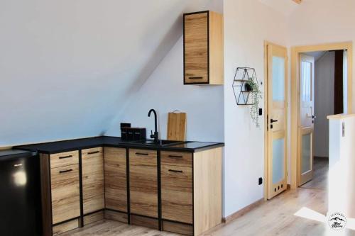 - une cuisine avec un comptoir et un évier dans la chambre dans l'établissement Apartament Nad Zaporą, à Szlembark