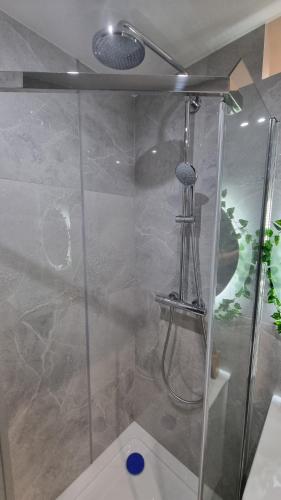 a bathroom with a shower with a glass door at Apartament ZACISZE in Jarosław