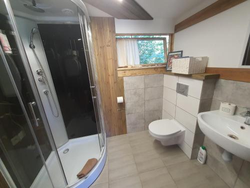 ein Bad mit einer Dusche, einem WC und einem Waschbecken in der Unterkunft Atpūta namiņā pie jūras Skujiņas in Lembuži