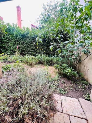 Le Jardin croix Roussien photo 45