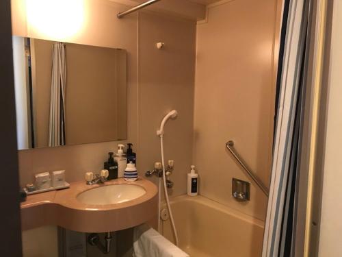 札幌市にあるHotel Yukita - Vacation STAY 20915vのバスルーム(シンク、バスタブ付)