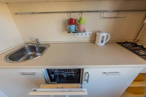 a small kitchen with a sink and a stove at Однокімнатні апартаменти на Майдані, дистанційне заселення 24х7 in Kyiv