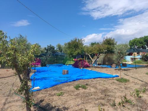 una lona azul está en el suelo con árboles en Aree tende presso la casa in campagna di Ottavia, en Alezio