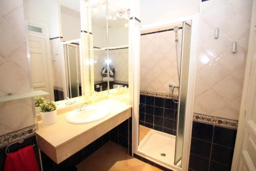 ein Badezimmer mit Waschbecken und Dusche in der Unterkunft Madrid, C. Mayor in Madrid