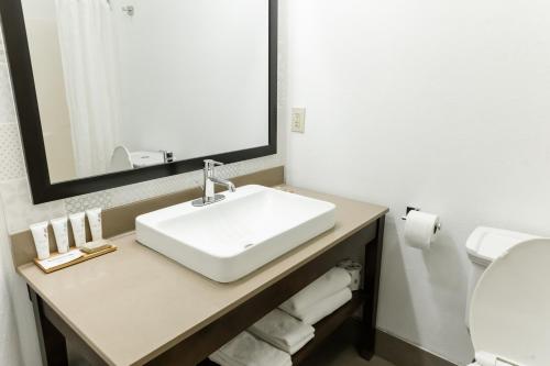 a bathroom with a white sink and a mirror at Country Inn & Suites by Radisson, Helen, GA in Helen