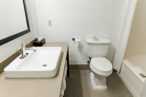 a bathroom with a white toilet and a sink at Country Inn & Suites by Radisson, Helen, GA in Helen