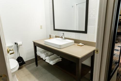 a bathroom with a sink and a mirror and a toilet at Country Inn & Suites by Radisson, Helen, GA in Helen