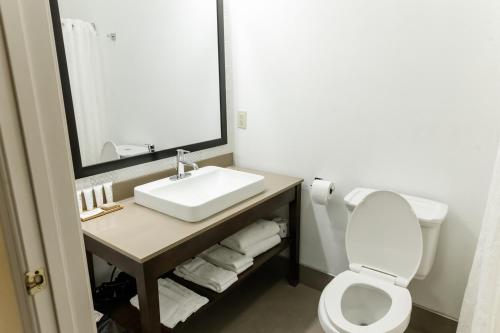 a bathroom with a sink and a toilet and a mirror at Country Inn & Suites by Radisson, Helen, GA in Helen