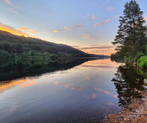 a river with a tree in the middle of it at Bonnie Lodge-Lochside Location with Hot Tub in Invergarry