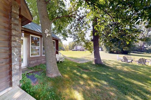 a yard with two trees and a house at Kismet in North Hero