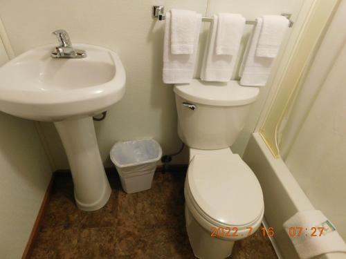 a bathroom with a white toilet and a sink at PATIO MOTOR COURT in Carroll