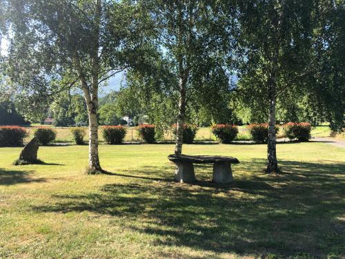 a bench in a park with trees and grass at le Pargagnat in Préchac