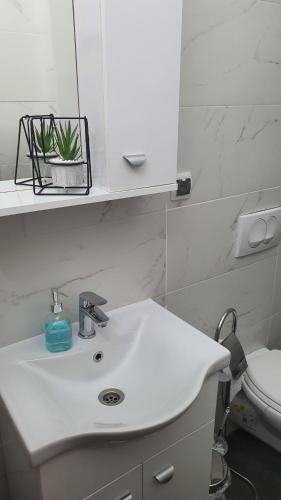 ein Badezimmer mit einem weißen Waschbecken und einem WC in der Unterkunft TOP 3 Apartments in Strumica