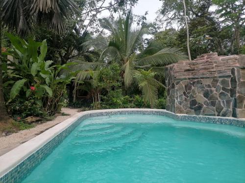 a swimming pool in a yard with a stone wall at Casa el Colibrí in Parrita