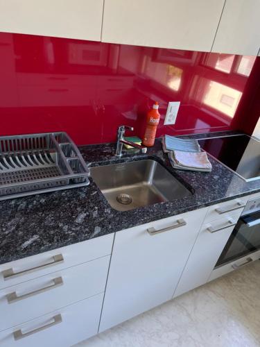 a kitchen counter with a sink and a red wall at SAVOY 26 in Interlaken