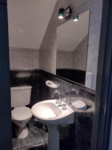 a bathroom with a toilet and a sink and a mirror at Apartamento Agur cerca del Arena Stadium in Maipú