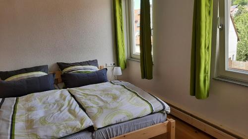 una camera da letto con letto e tende verdi di Lamm - Wohnung 1 a Spiegelberg