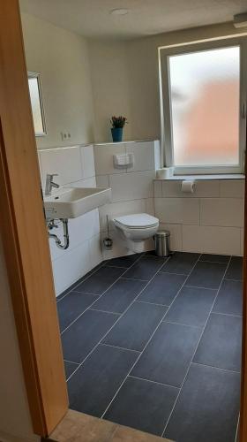 a bathroom with a sink and a toilet at Lamm - Wohnung 1 in Spiegelberg