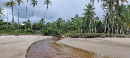 a beach with palm trees and a dirt road at Apartamento à beira-mar: ideal para famílias . in Ilhéus