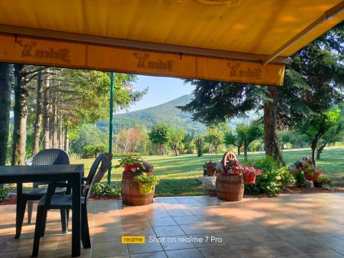 a patio with a table and chairs and flowers at Vila Jezerski raj Borsko jezero in Bor