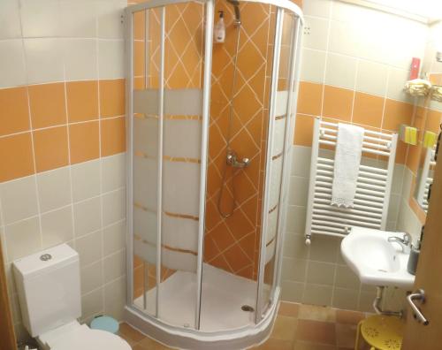 een badkamer met een douche, een toilet en een wastafel bij Quinta do Borges in Guarda