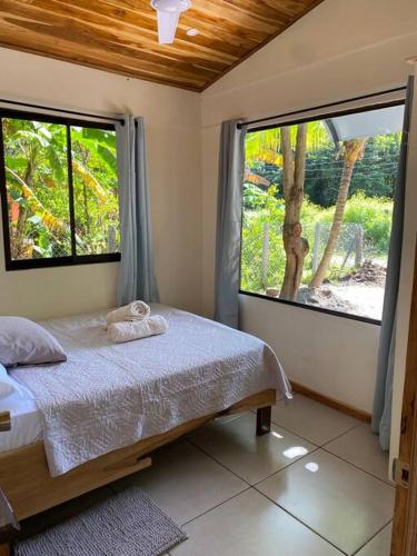 Beautiful 2-bedroom home OR Studio Apartment OPTION in Santa Cruz