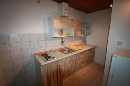 uma cozinha com um lavatório e uma bancada em Apartments with a parking space Valbandon, Fazana - 15161 em Fažana