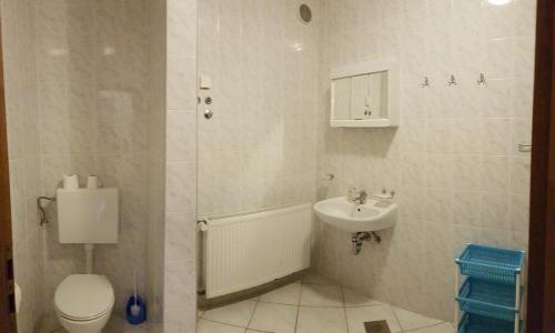 Koupelna v ubytování Apartment Stanici 14782a