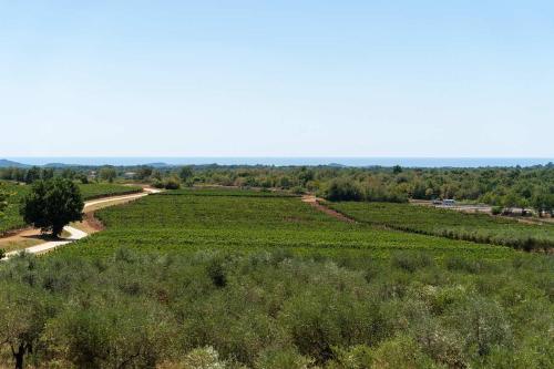 Villa Luisa – Photos 2