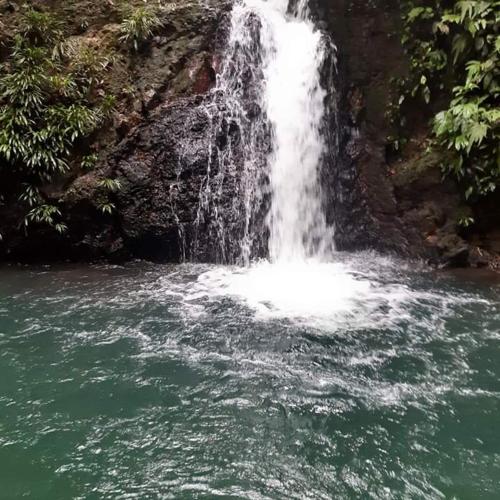 a waterfall in the middle of a pool of water at Cabaña Villa Sofi in Nuquí
