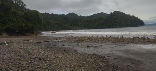 a group of birds sitting on the beach at Cabaña Villa Sofi in Nuquí