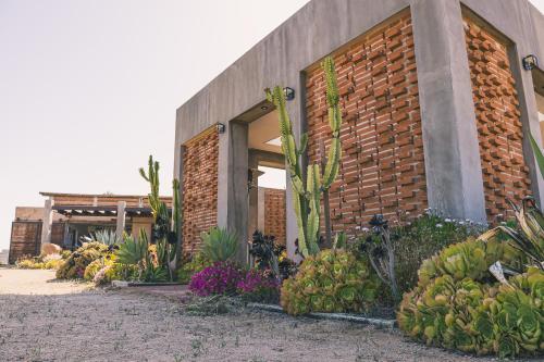 a brick building with a bunch of plants in front of it at Estancias Sierravita in Valle de Guadalupe