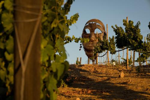 a large sculpture in the middle of a vineyard at Estancias Sierravita in Valle de Guadalupe