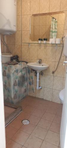 a bathroom with a sink and a toilet at Happiness Apartment Center in Bitola