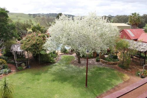an aerial view of a white tree in a yard at Talbot - Historic accommodation with Mod Cons in Hoddy Well