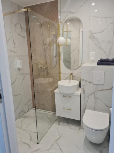 W łazience znajduje się prysznic, toaleta i umywalka. w obiekcie Sun and holidays apartament Abrahama w mieście Gdynia