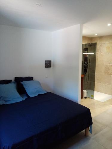 - une chambre avec un lit bleu et une douche dans l'établissement Villa maquis, à Afa
