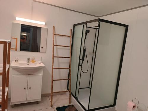 a bathroom with a shower and a sink at Ti Kaz Fond de Puits in Saint-Philippe