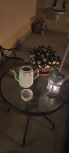 a glass table with two pots of flowers on it at Penzion-apartmán U Johana in Moravská Třebová