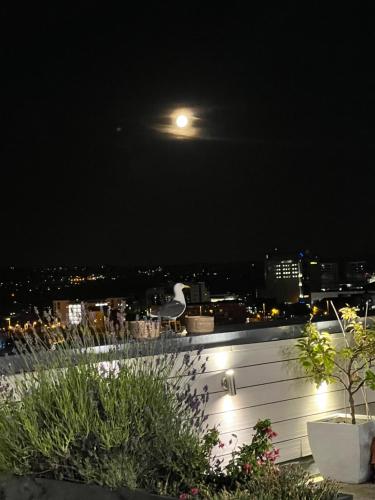 a bird sitting on top of a roof at night at James Clow Bed & Breakfast in Belfast