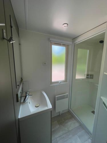 een witte badkamer met een wastafel en een douche bij Le Vrai Paradis in Estréboeuf