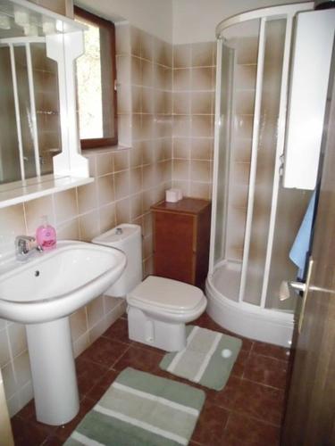 a bathroom with a sink and a toilet and a shower at Secluded fisherman's cottage Cove Dragisina, Kornati - 12150 in Pristanišće