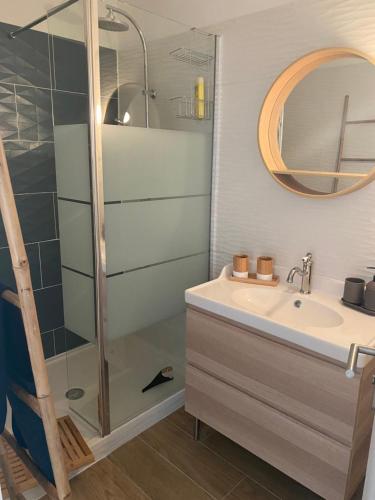 bagno con doccia e lavandino di Avignon : Appartement le in et off ad Avignone