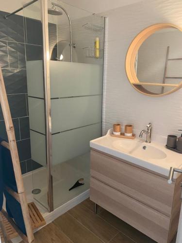 a bathroom with a shower and a sink at Avignon : Appartement le in et off in Avignon