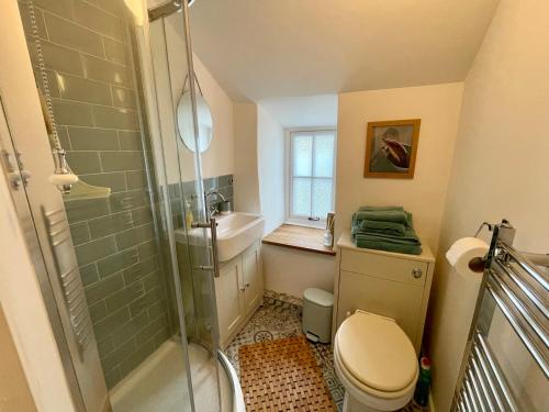 a bathroom with a shower and a toilet and a sink at 3 Peters Terrace in Truro